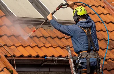 Démoussage et hydrofuge de toiture à Sainte-Reine
